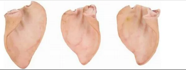 Frozen Pork Ear Flaps